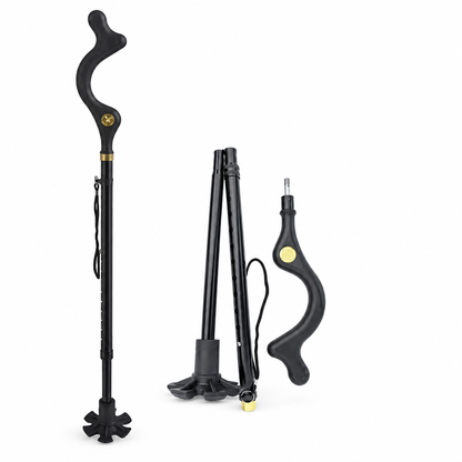 Adjustable height posture walking cane, studio product photo